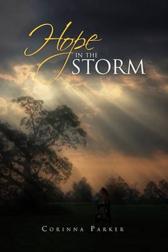 Cover image for Hope in the Storm