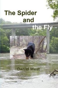 Cover image for The Spider and the Fly