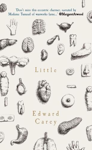 Cover image for Little