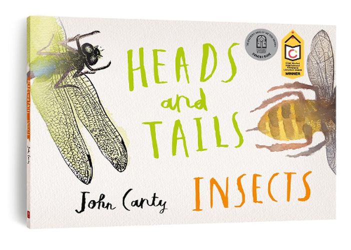 Cover image for Heads and Tails Insects