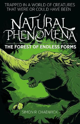 Cover image for Natural Phenomena: The Forest Of Endless Forms