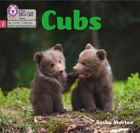 Cover image for Cubs: Phase 2