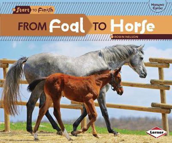Cover image for From Foal to Horse