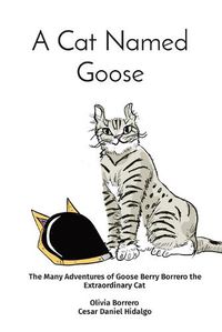 Cover image for A Cat Named Goose