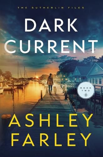 Cover image for Dark Current