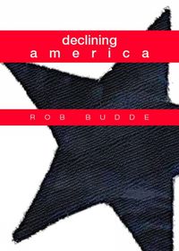 Cover image for declining america