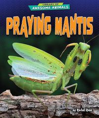Cover image for Praying Mantis