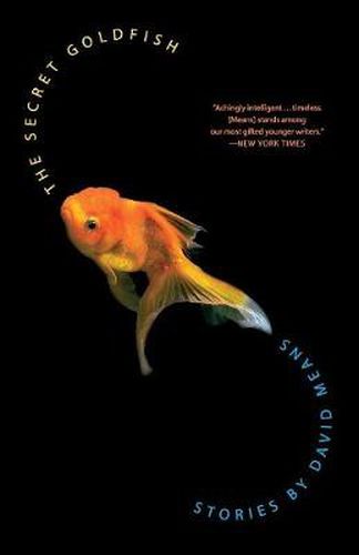 Cover image for The Secret Goldfish