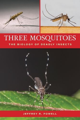 Cover image for Three Mosquitoes