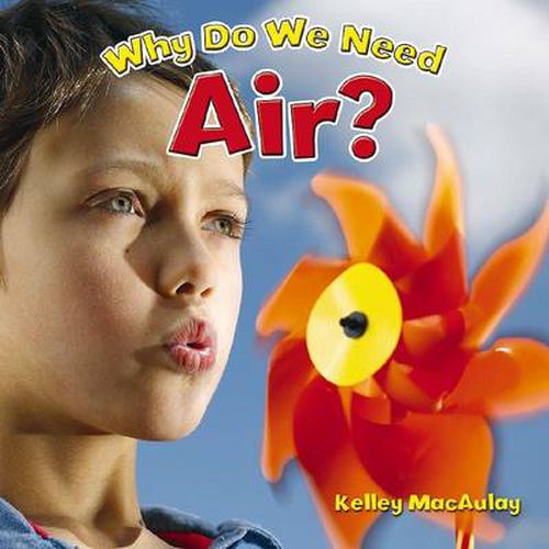 Cover image for Why Do We Need Air?