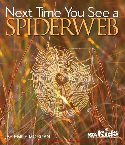 Cover image for Next Time You See a Spiderweb
