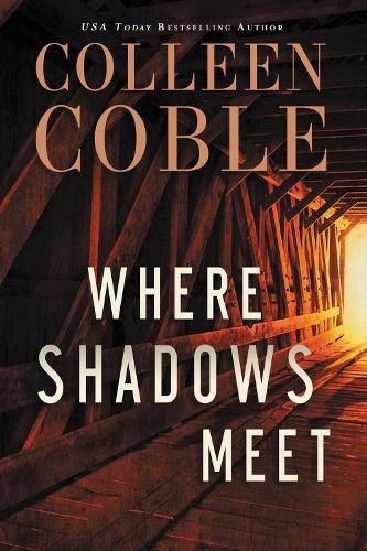 Cover image for Where Shadows Meet: A Romantic Suspense Novel