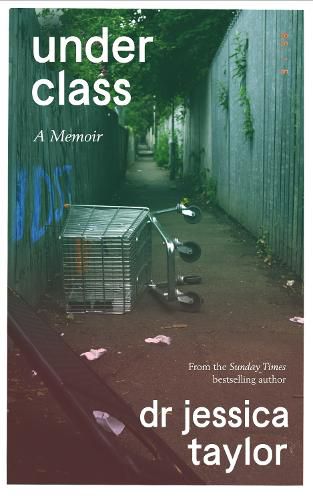 Cover image for Underclass