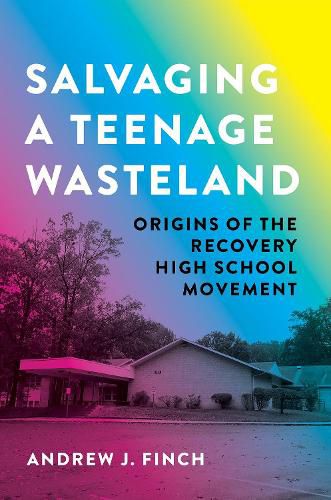 Cover image for Salvaging a Teenage Wasteland