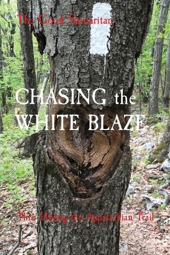 Cover image for CHASING the WHITE BLAZE