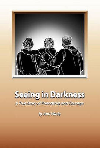 Cover image for Seeing in Darkness