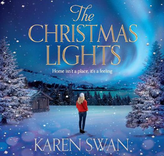 Cover image for The Christmas Lights