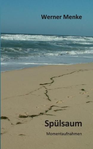 Cover image for Spulsaum: Momentaufnahmen