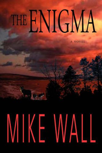 Cover image for The Enigma