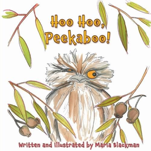 Cover image for Hoo Hoo, Peekaboo