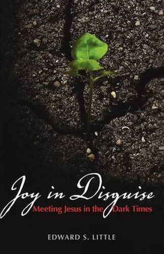 Cover image for Joy in Disguise: Meeting Jesus in the Dark Times