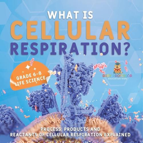 What is Cellular Respiration? Process, Products and Reactants of Cellular Respiration Explained Grade 6-8 Life Science