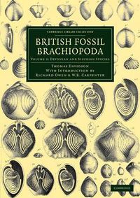 Cover image for British Fossil Brachiopoda