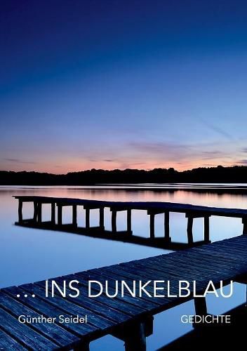 Cover image for ins dunkelblau: 90 Gedichte