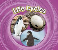 Cover image for Life Cycles