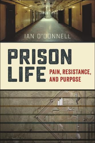 Cover image for Prison Life: Pain, Resistance, and Purpose