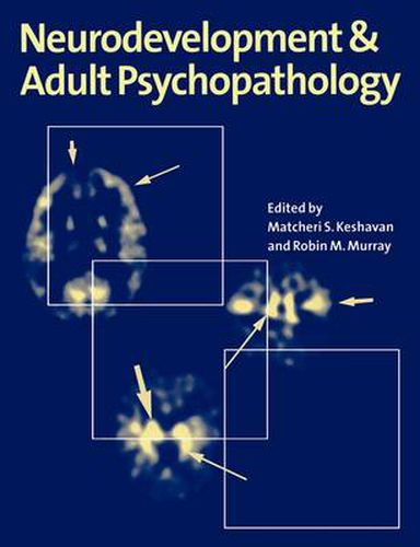 Cover image for Neurodevelopment and Adult Psychopathology