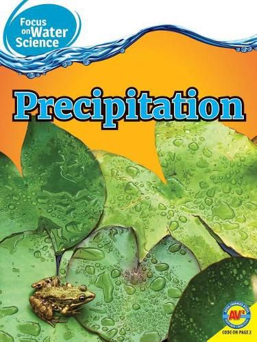 Cover image for Precipitation