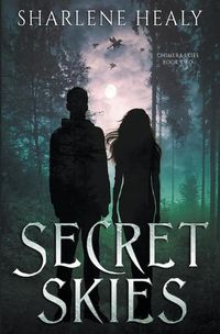 Cover image for Secret Skies