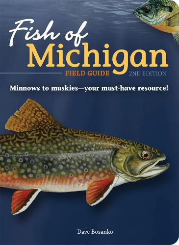 Cover image for Fish of Michigan Field Guide