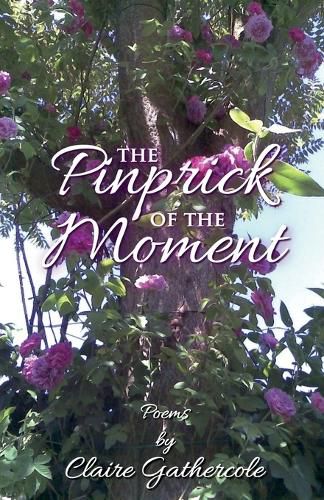 Cover image for The Pinprick of the Moment