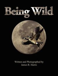 Cover image for Being Wild