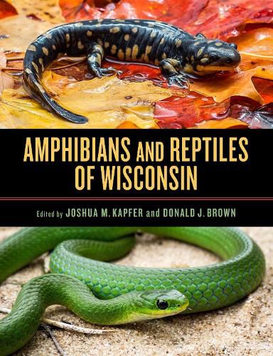 Cover image for Amphibians and Reptiles of Wisconsin