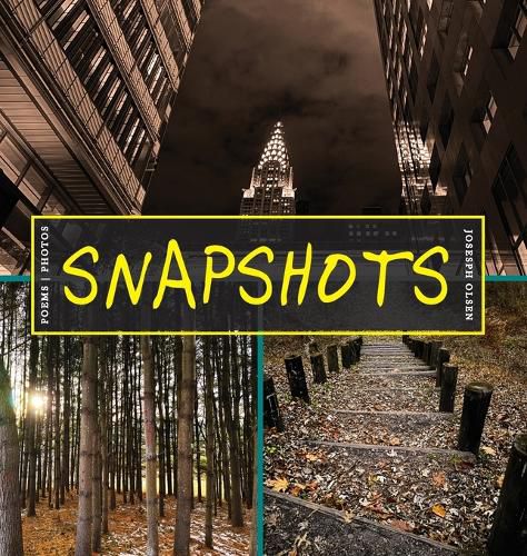 Cover image for Snapshots