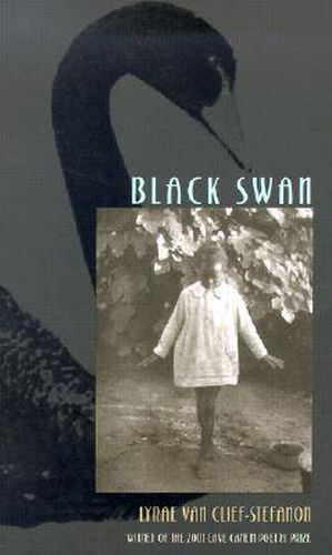 Cover image for Black Swan