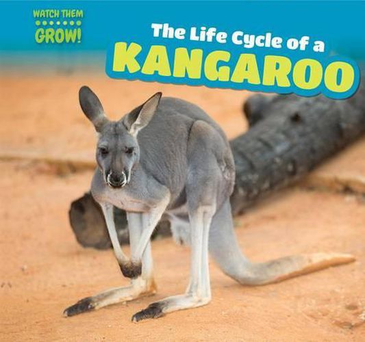 Cover image for The Life Cycle of a Kangaroo