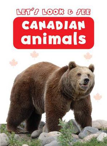 Cover image for Let's Look & See: Canadian Animals