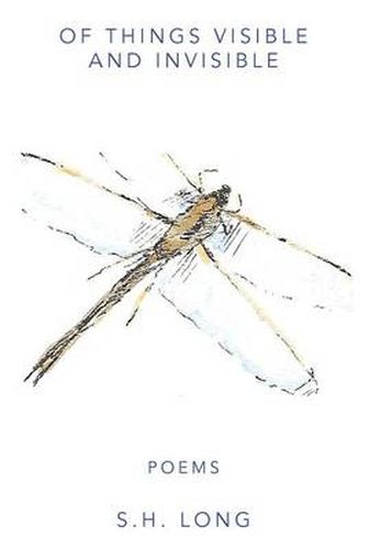Cover image for Of Things Visible and Invisible