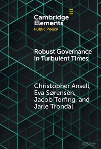 Cover image for Robust Governance in Turbulent Times