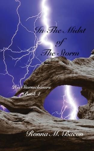 Cover image for In The Midst of The Storm