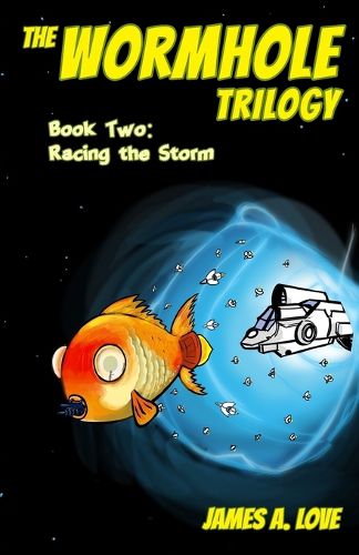 Cover image for Racing the Storm