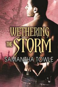 Cover image for Wethering the Storm