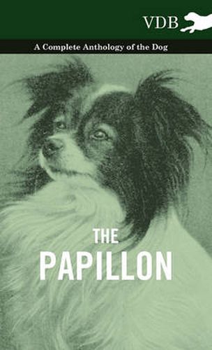 Cover image for The Papillon - A Complete Anthology of the Dog