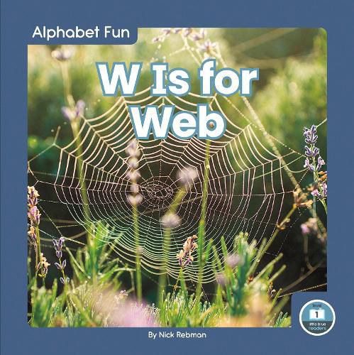 Cover image for Alphabet Fun: W is for Web