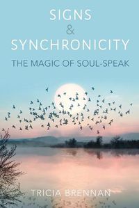 Cover image for Signs & Synchronicity: The Magic of Soul-Speak
