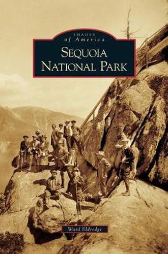 Cover image for Sequoia National Park